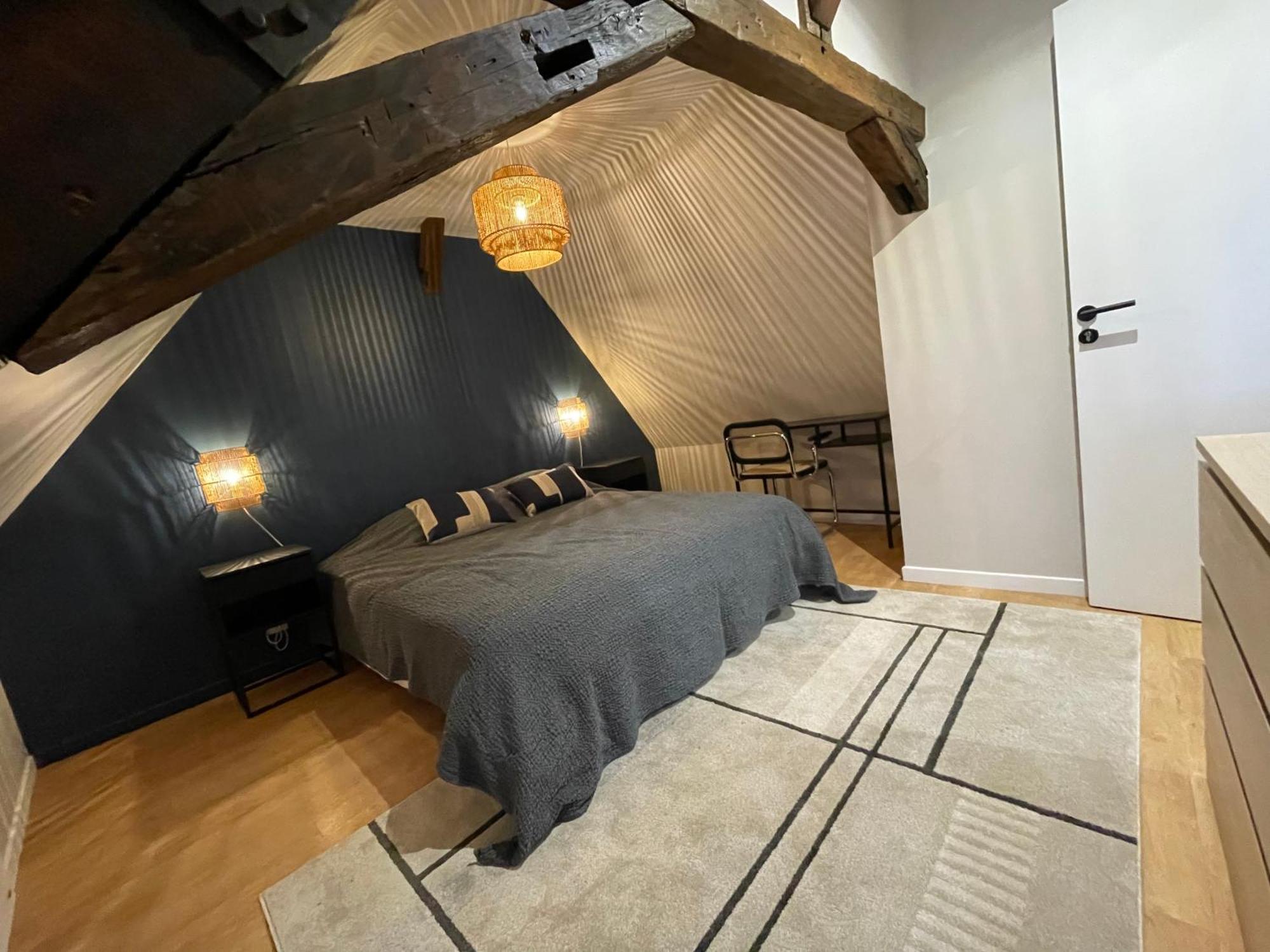 Le Petit Chateau Du Docteur Cambournac Bourges Dış mekan fotoğraf